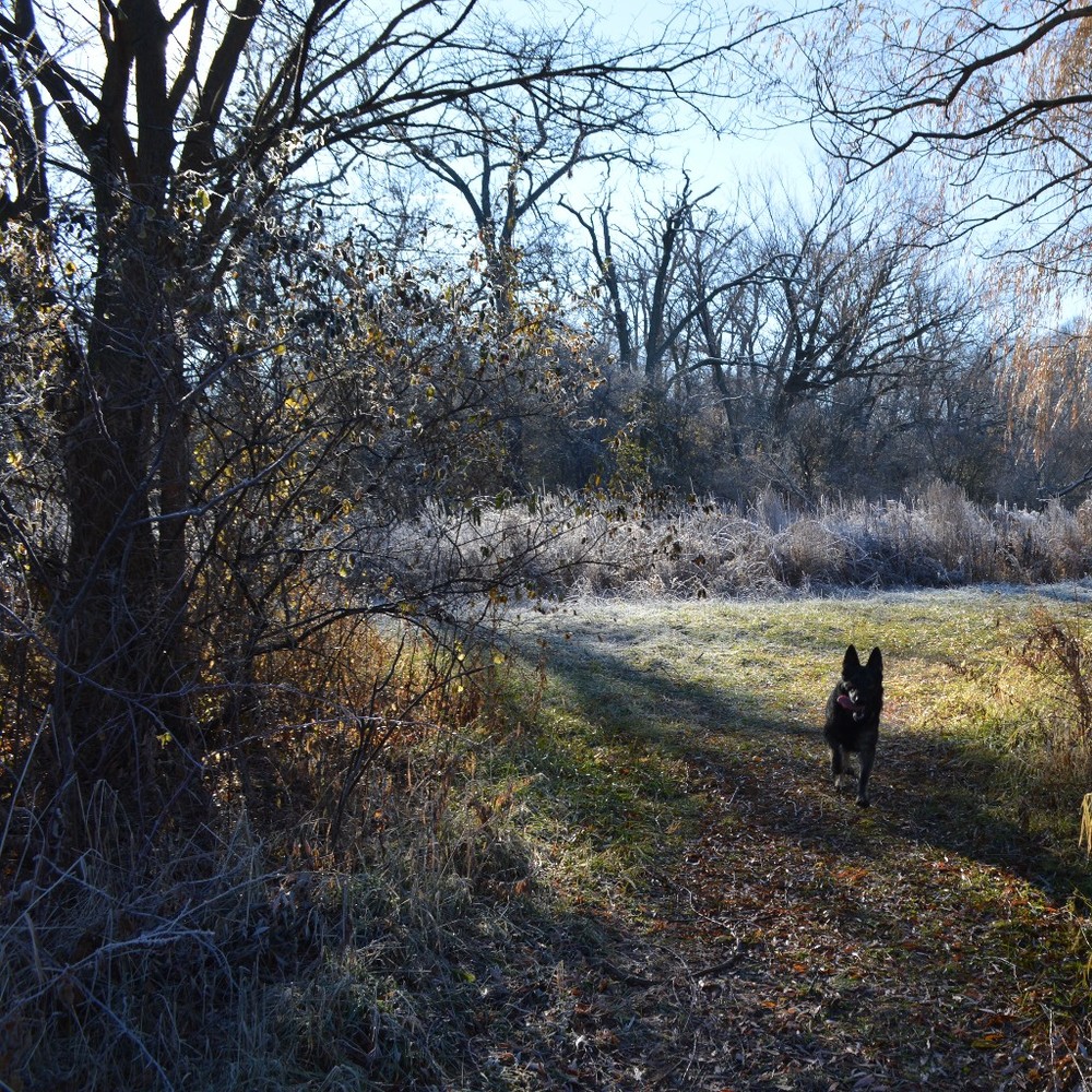Meet your Posher, Holly